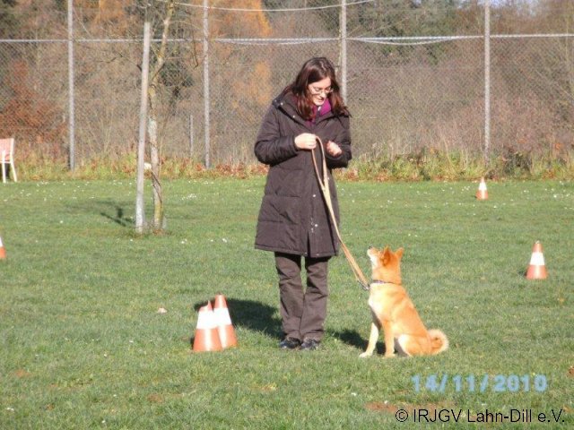 BGVP 14.11.2010