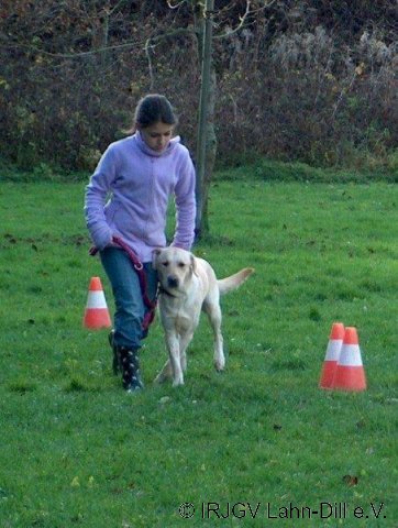 BGVP 14.11.2010