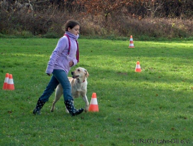 BGVP 14.11.2010