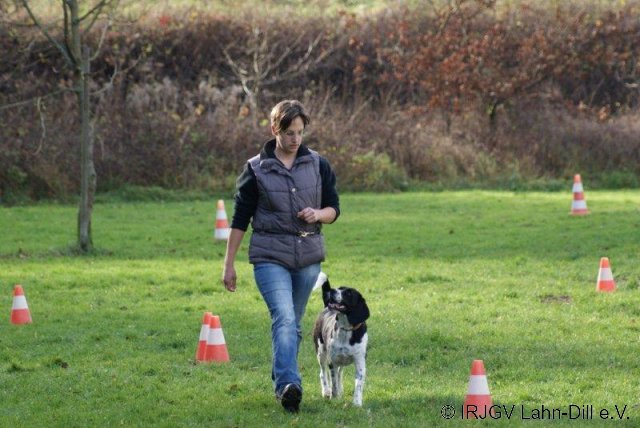BGVP 14.11.2010