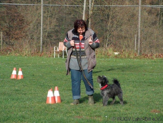 BGVP 14.11.2010