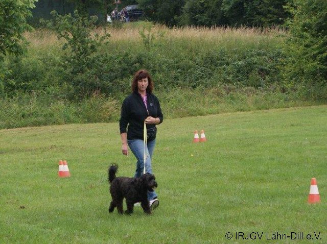 BGVP Juni 2011