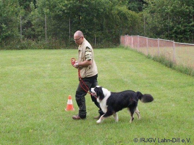 BGVP Juni 2011