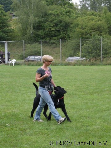 BGVP Juni 2011