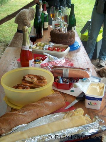 BGVP Juni 2011