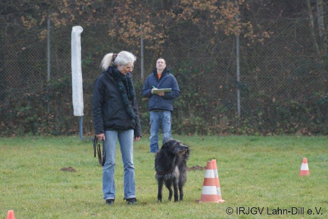 BGVP 19.11.2011