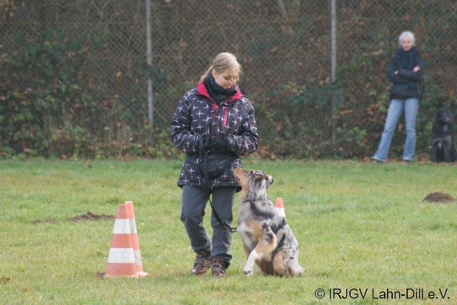 BGVP 19.11.2011