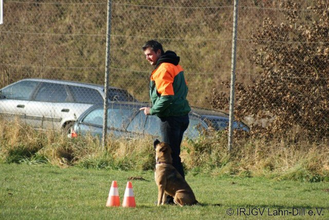 BGVP 19.11.2011