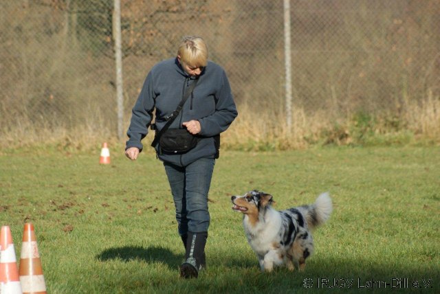 BGVP 19.11.2011