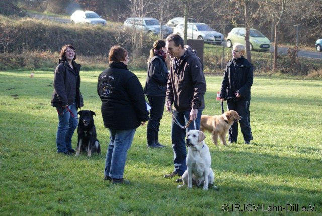 BGVP 19.11.2011