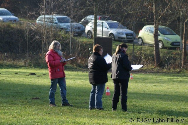 BGVP 19.11.2011