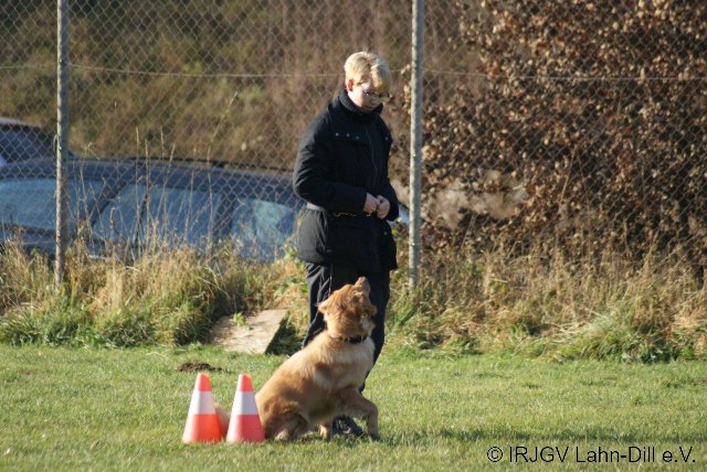 BGVP 19.11.2011