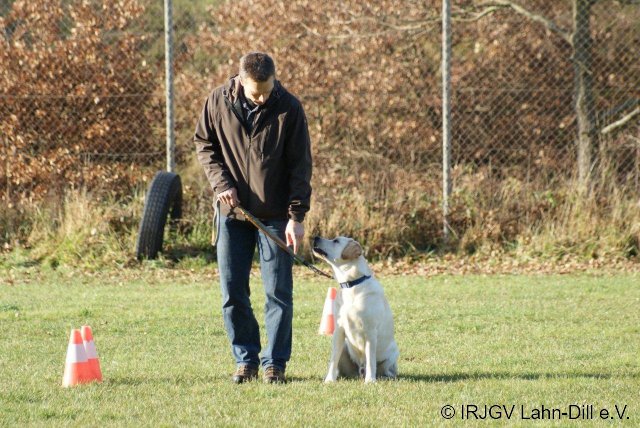 BGVP 19.11.2011