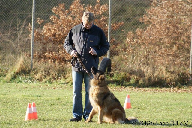 BGVP 19.11.2011