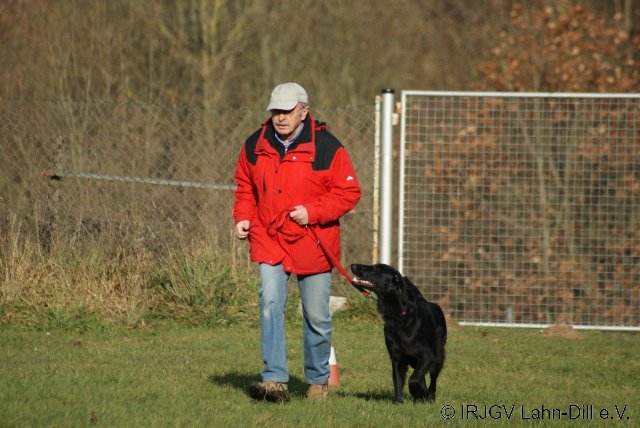 BGVP 19.11.2011