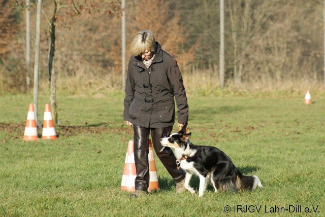 BGVP 19.11.2011