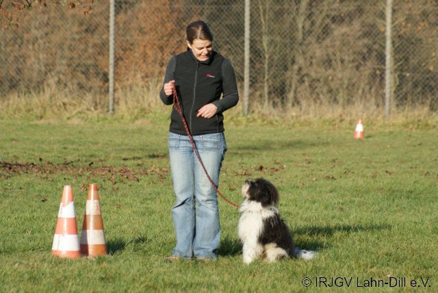 BGVP 19.11.2011
