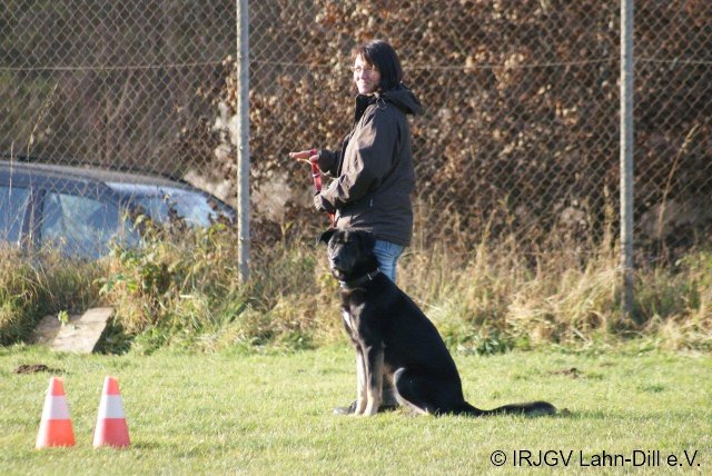 BGVP 19.11.2011