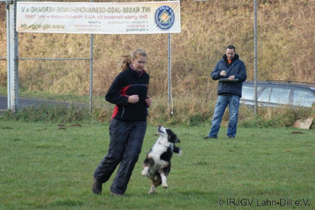 BGVP 19.11.2011