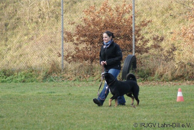 BGVP 19.11.2011