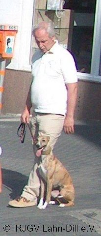 BGVP 30.06.2012