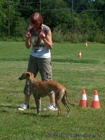 BGVP 30.06.2012