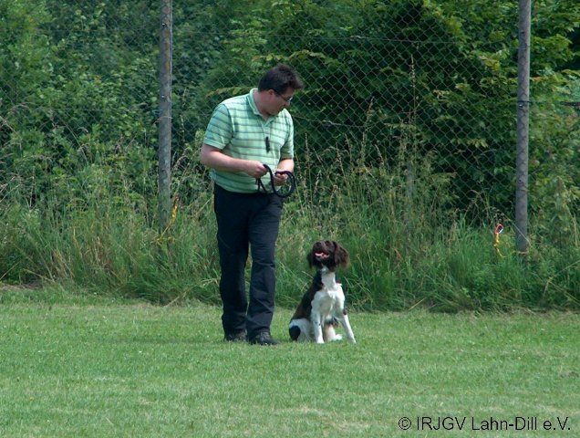 BGVP 30.06.2012