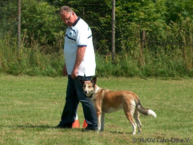 BGVP 30.06.2012