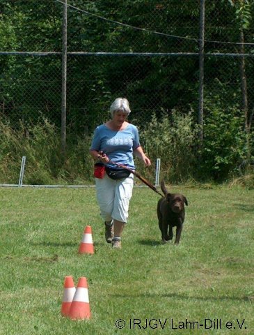 BGVP 30.06.2012