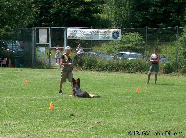 BGVP 30.06.2012
