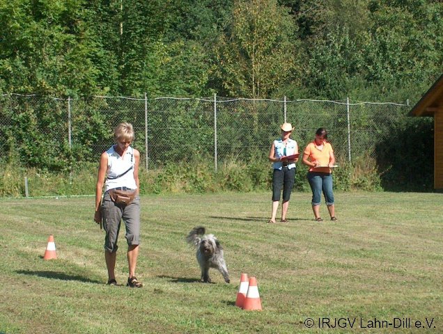 BGVP 19.08.2012