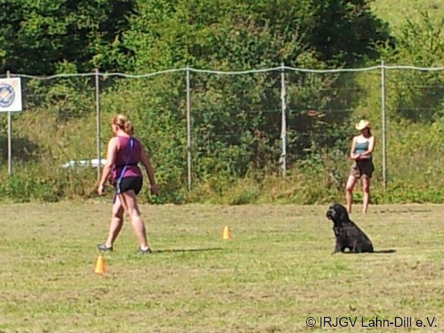 BGVP 19.08.2012