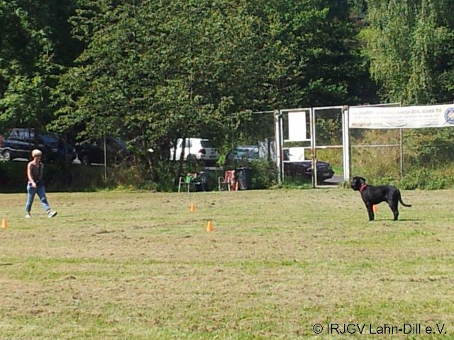 BGVP 19.08.2012