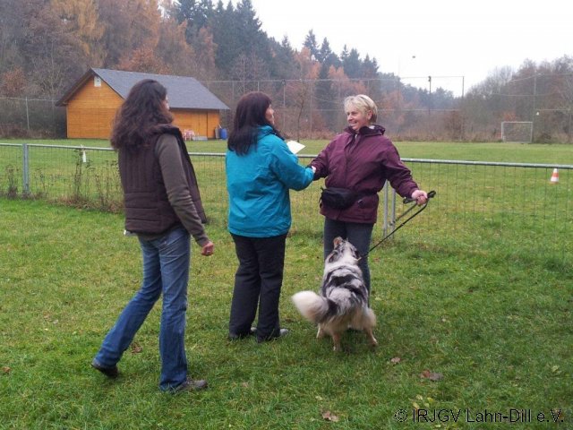 BGVP 17.11.2012