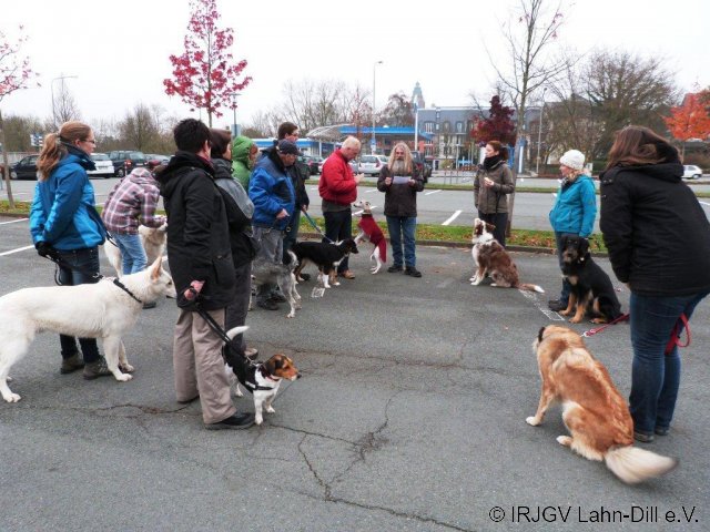 BGVP 17.11.2012