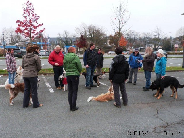 BGVP 17.11.2012
