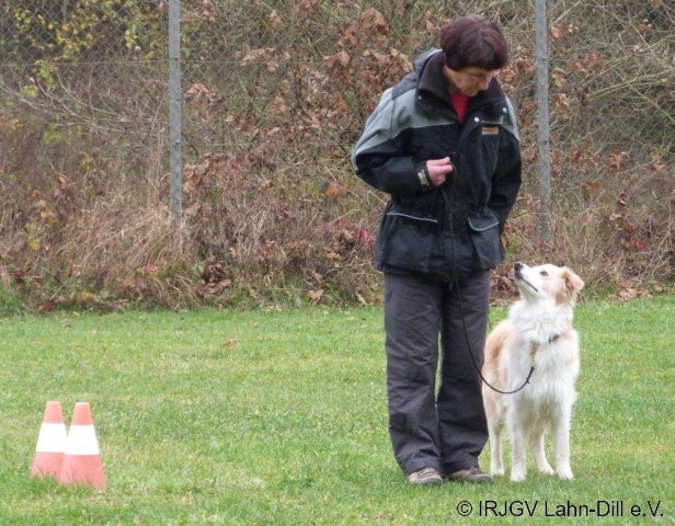 BGVP 17.11.2012