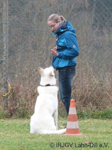BGVP 17.11.2012
