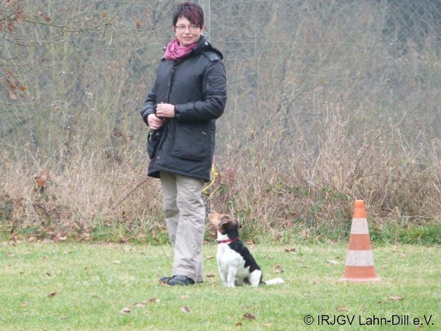 BGVP 17.11.2012