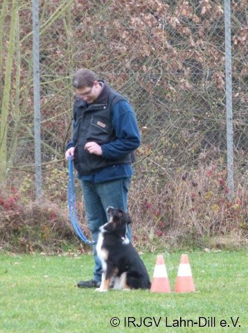BGVP 17.11.2012