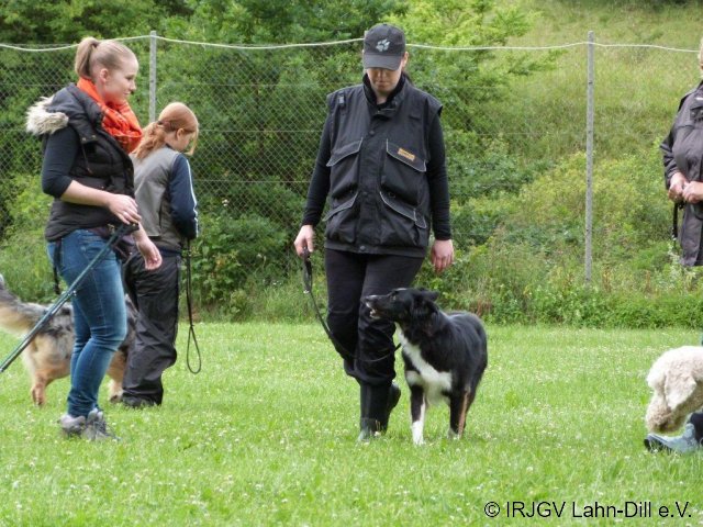 BGVP 29.06.2013