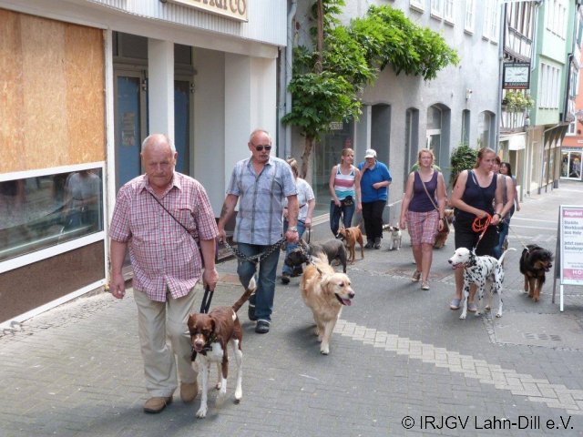 BGVP 29.06.2013