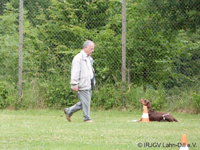 BGVP 29.06.2013