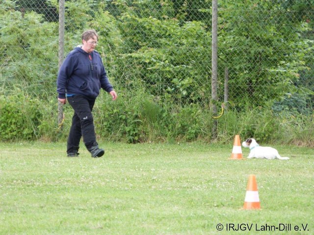 BGVP 29.06.2013