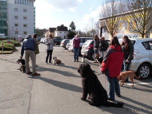 BGVP 01.03.2015