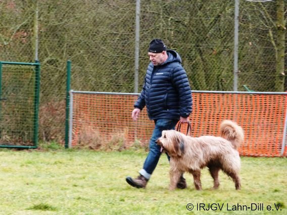 BGVP 01.03.2015