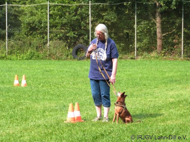 BGVP 27.08.2017