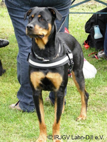 BGVP Wettkampf 2011