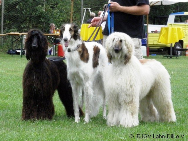 BGVP Wettkampf 2011