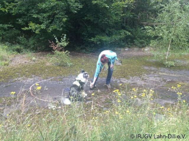 Hunderallye_20170813